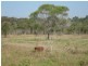 Branyan QLD 4670