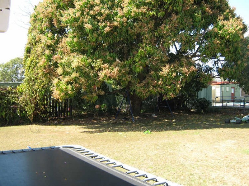 40 Hurst Street, Walkervale QLD 4670