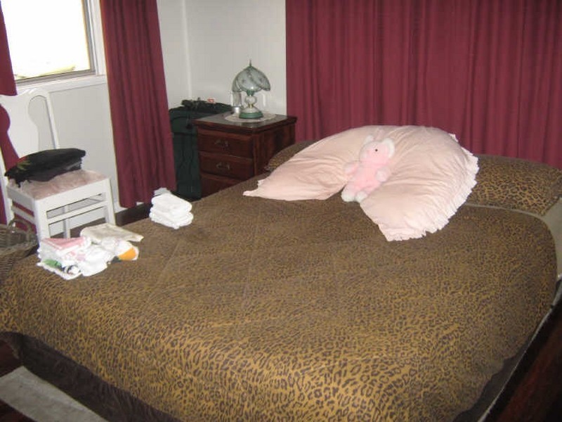 18 Theodore Street, Svensson Heights QLD 4670