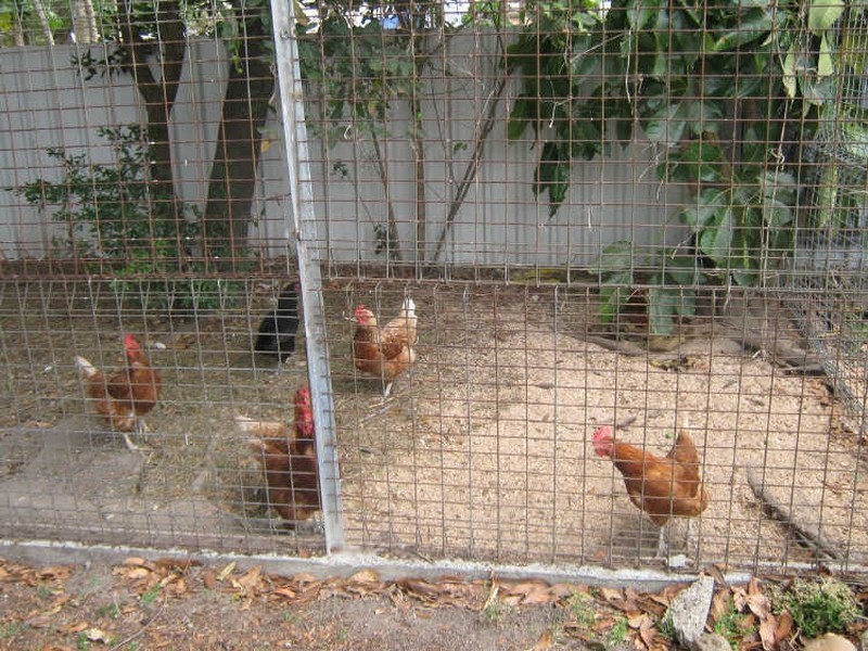 195 George Street, Bundaberg West QLD 4670