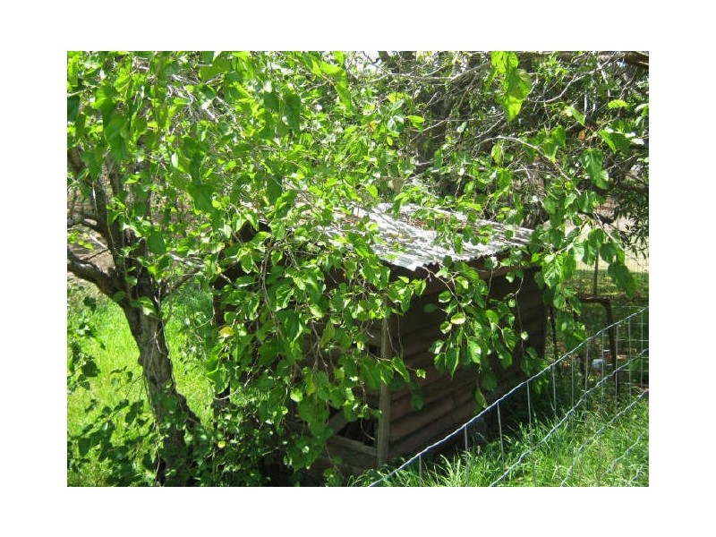 48 Boundary Street, Bundaberg South QLD 4670