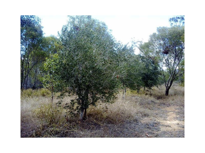 52 Billabong Way, Bucca QLD 4670