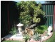 Avenell Heights QLD 4670