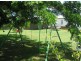 14 Brown Street, Norville QLD 4670