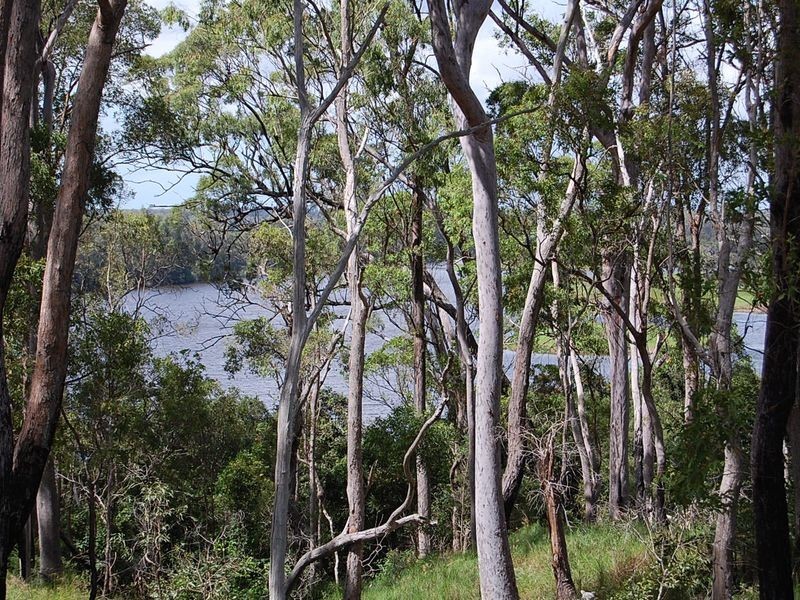 Avondale QLD 4670