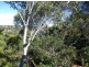 87 Excelsior Road, Mount Colah NSW 2079