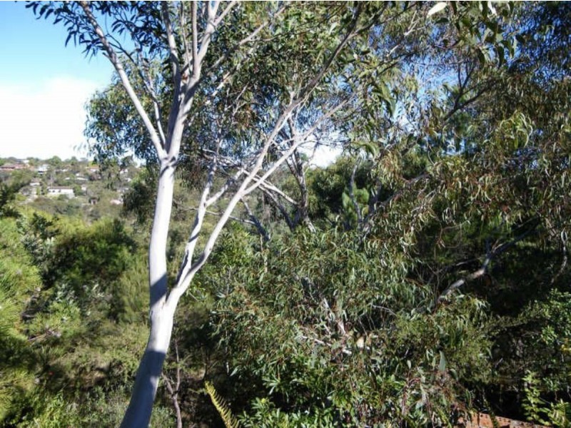 87 Excelsior Road, Mount Colah NSW 2079