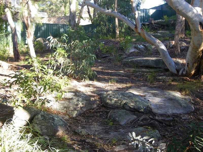 Berowra Heights NSW 2082