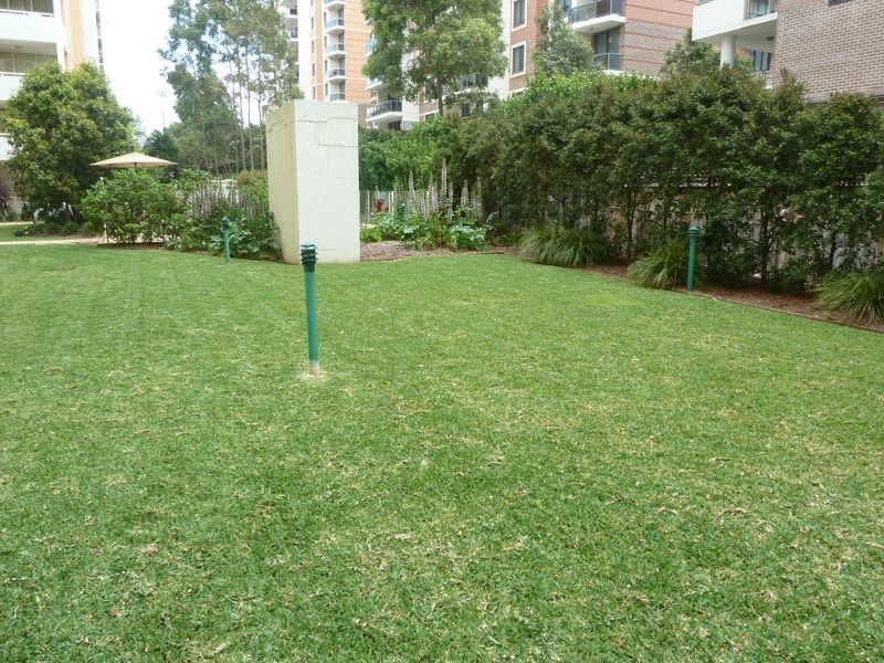 Waitara NSW 2077
