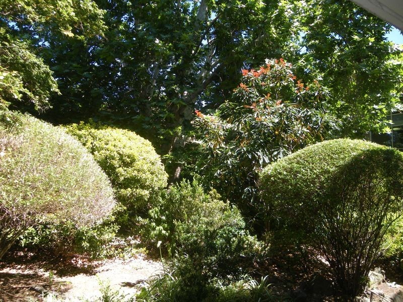 10/2A Yardley Avenue, Waitara NSW 2077