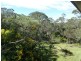 476 Somerville Road, Hornsby Heights NSW 2077