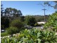 11 Glenview Street, Mount Kuring-gai NSW 2080