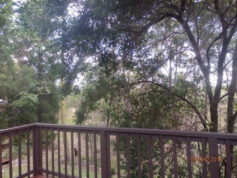 91 Oxley Drive, Mount Colah NSW 2079