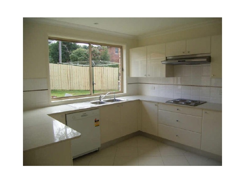 Neridah Avenue, Mount Colah NSW 2079