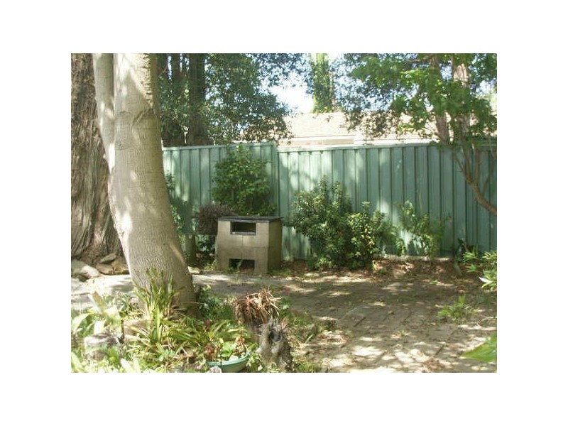 Asquith NSW 2077