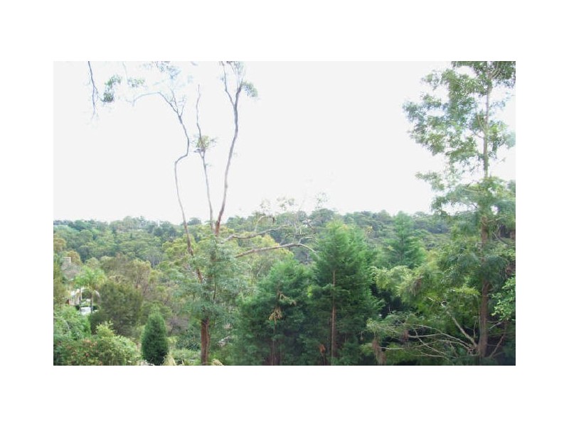 Lot 1/107 Somerville Road, Hornsby Heights NSW 2077