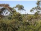 25B Fraser Road, Cowan NSW 2081