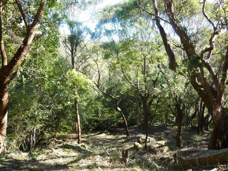 51 Glenview Road, Mount Kuring-gai NSW 2080