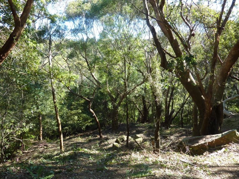 51 Glenview Road, Mount Kuring-gai NSW 2080