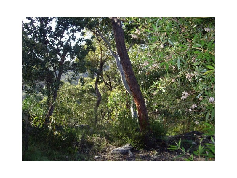 8 Banyula Place, Mount Colah NSW 2079