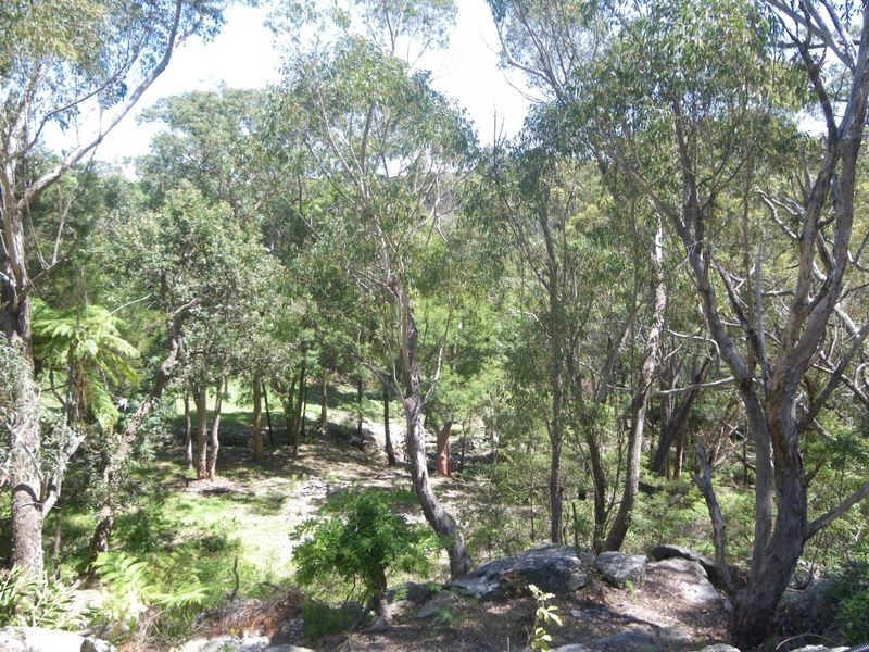 Hornsby Heights NSW 2077