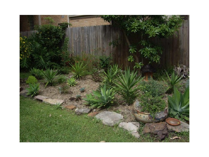 63 Foamcrest Avenue, Newport Beach NSW 2106