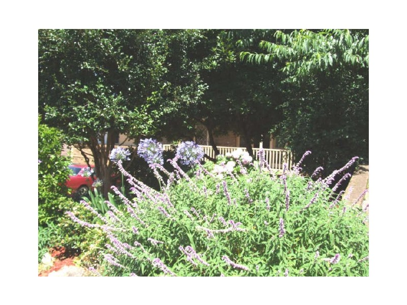 38 Bambil Road, Berowra NSW 2081