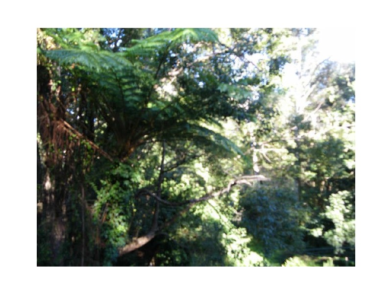 Denman Street, Turramurra NSW 2074