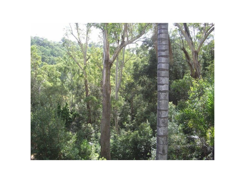 Hornsby NSW 2077
