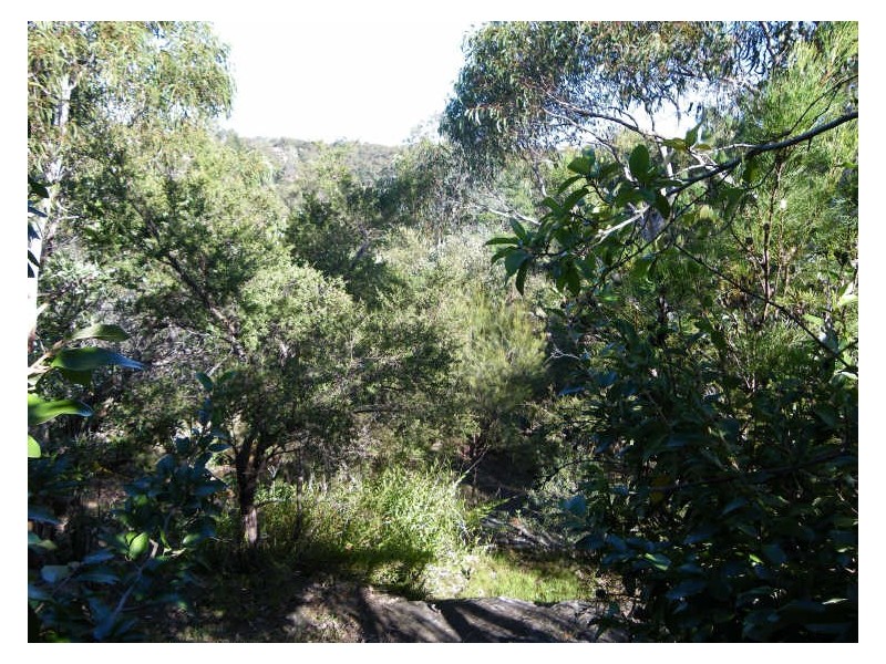 87 Excelsior Road, Mount Colah NSW 2079