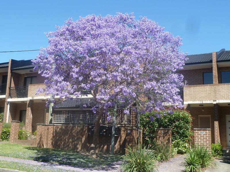 14/9-19 Heath Street, Asquith NSW 2077