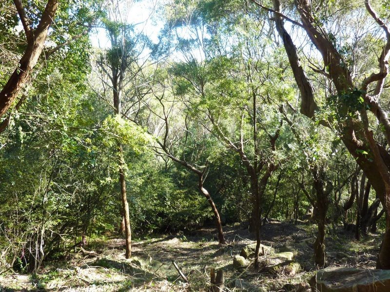 51 Glenview Road, Mount Kuring-gai NSW 2080