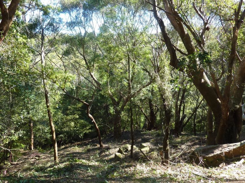 51 Glenview Road, Mount Kuring-gai NSW 2080