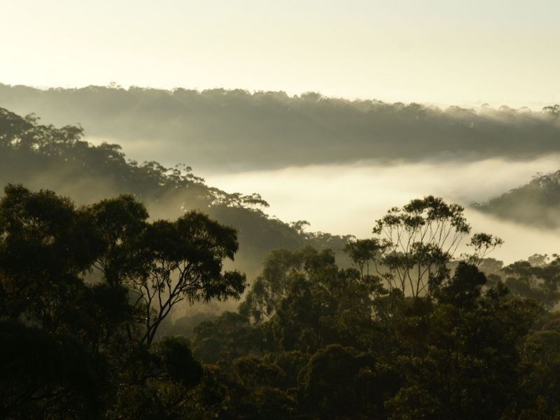 36 St Helens Avenue, Mount Kuring-gai NSW 2080