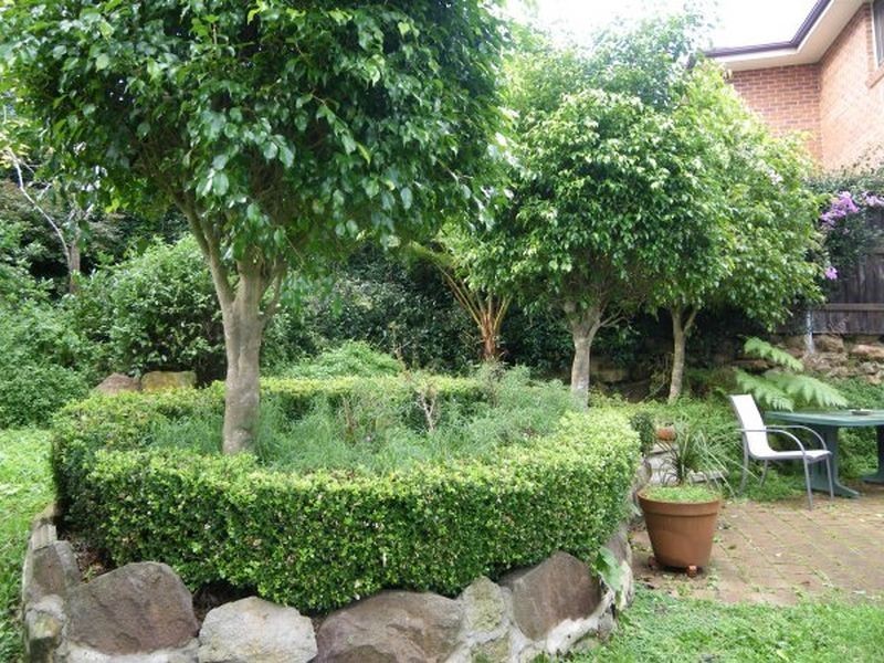 Mount Colah NSW 2079