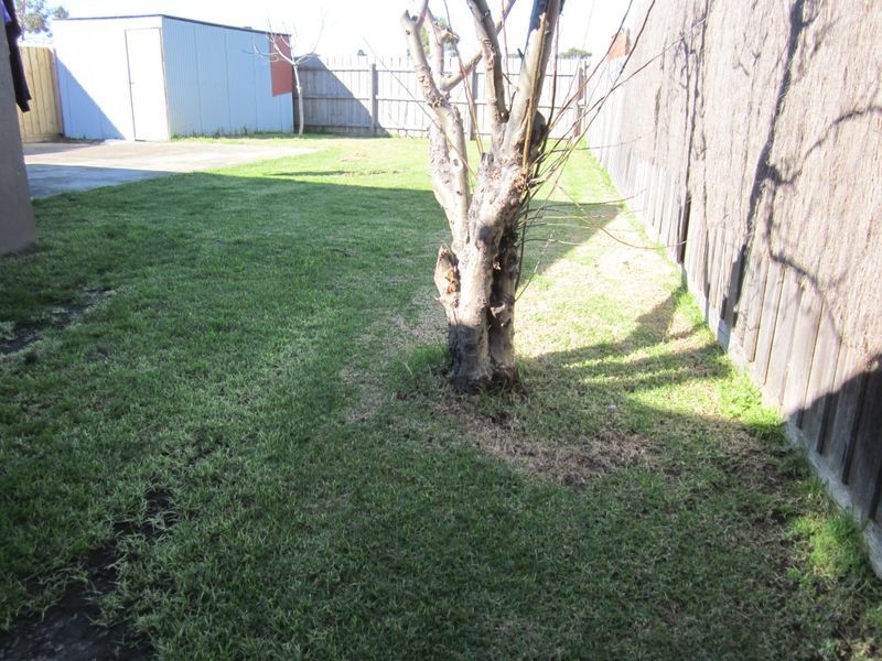 24 Diamond Avenue, Albanvale VIC 3021