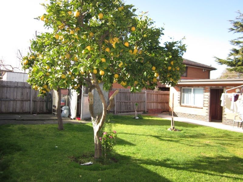 24 Cobham Street, St Albans VIC 3021
