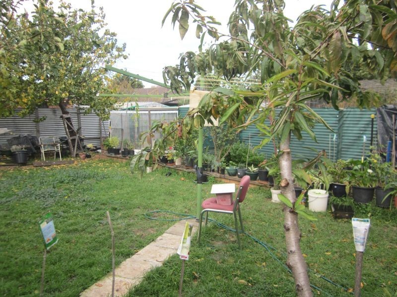 6 Bluestone Walk, Delahey VIC 3037
