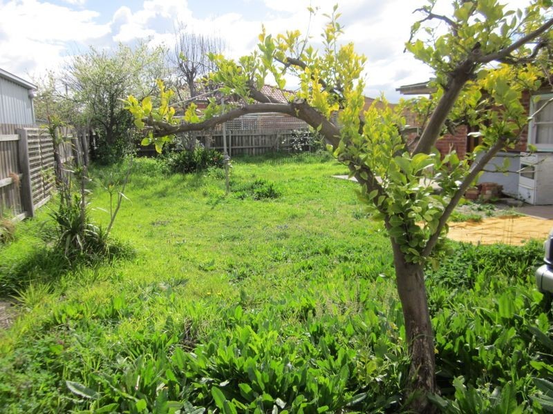 19 Bernbanks Avenue, St Albans VIC 3021