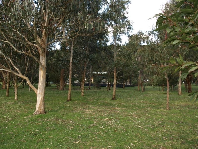 209 Cooramook Road, Grassmere VIC 3281