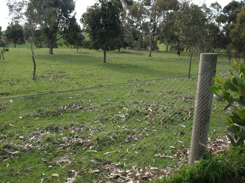 209 Cooramook Road, Grassmere VIC 3281