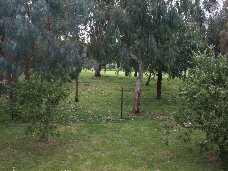 209 Cooramook Road, Grassmere VIC 3281