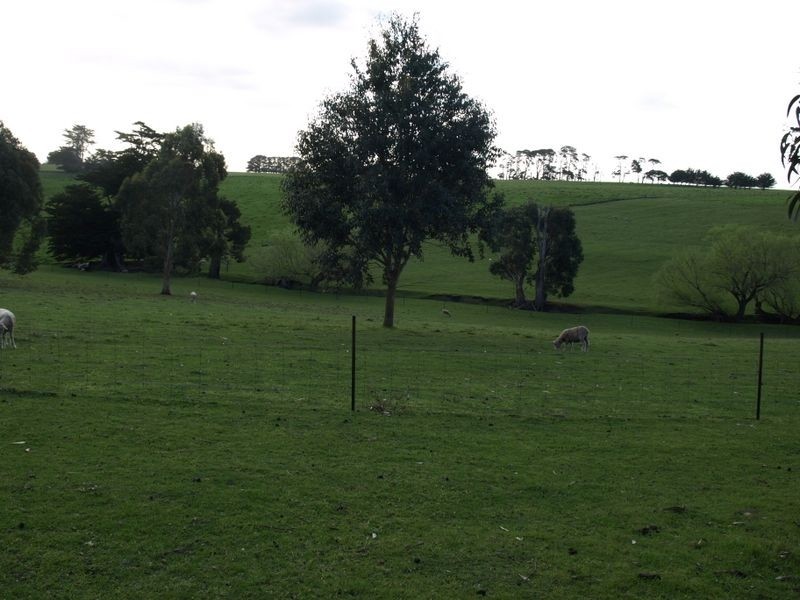 209 Cooramook Road, Grassmere VIC 3281