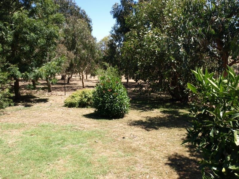 209 Cooramook Road, Grassmere VIC 3281