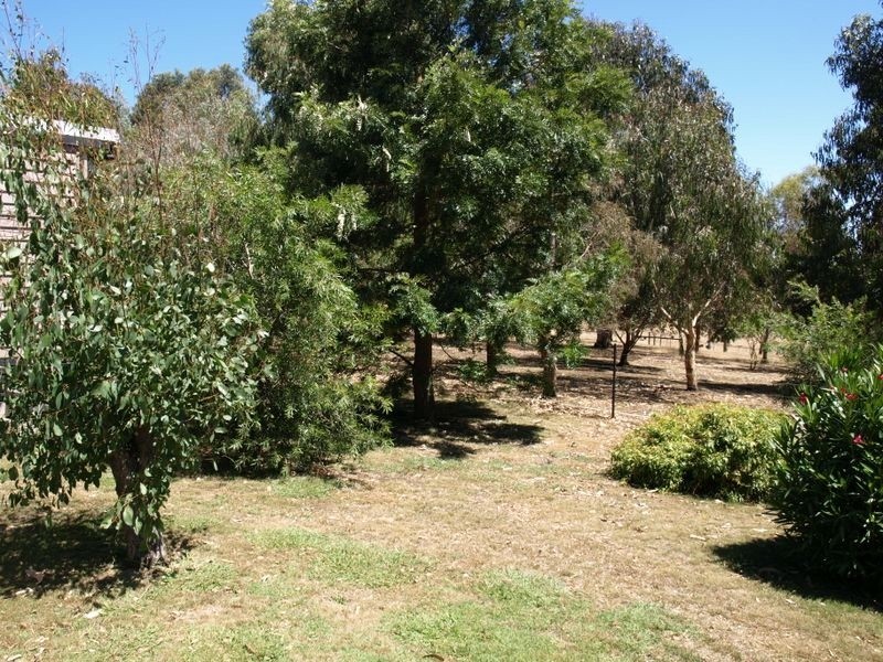 209 Cooramook Road, Grassmere VIC 3281