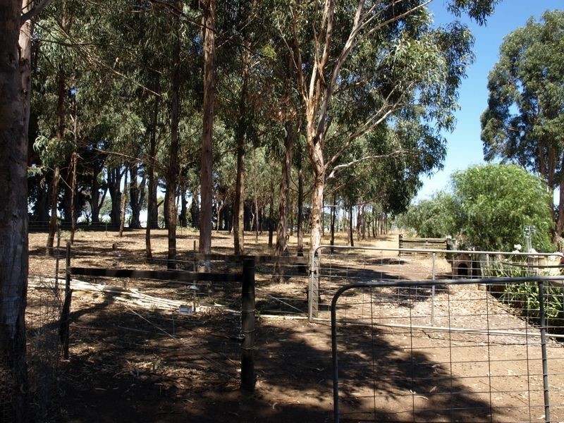 209 Cooramook Road, Grassmere VIC 3281