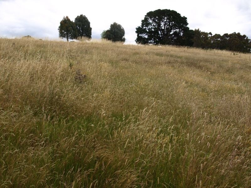 Lot 7 Henty Hwy/Wydham Street, Hamilton VIC 3300