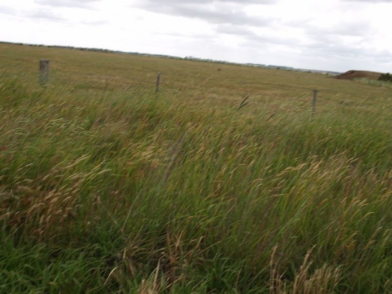 669 Goodwood Road, Warrnambool VIC 3280