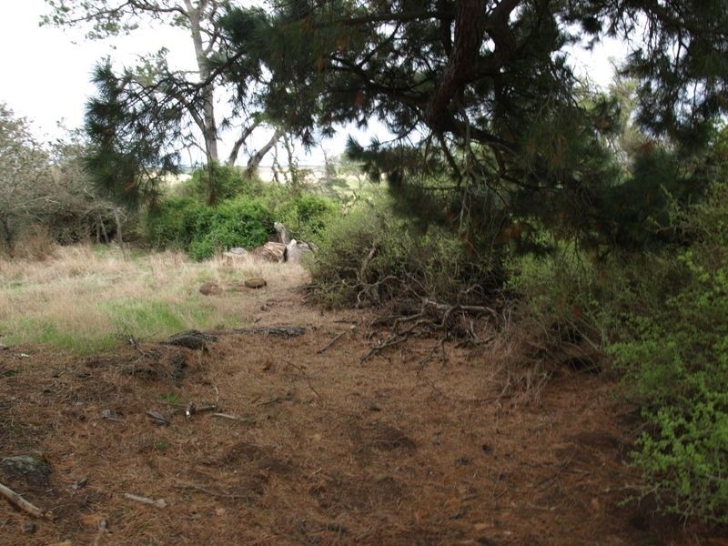 286 Panmure – Ellerslie Road, Warrnambool VIC 3280