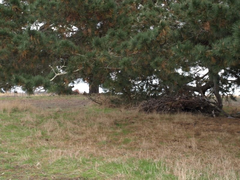 286 Panmure – Ellerslie Road, Warrnambool VIC 3280